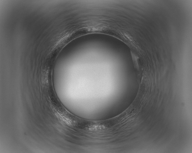 X0000051240543200507011629