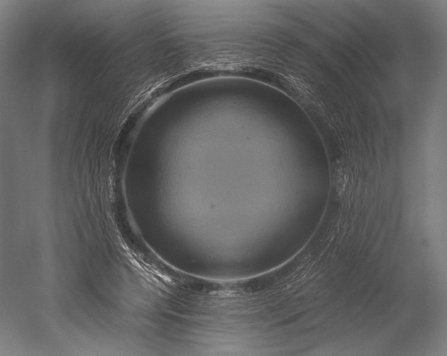 X0000051240544200507011629