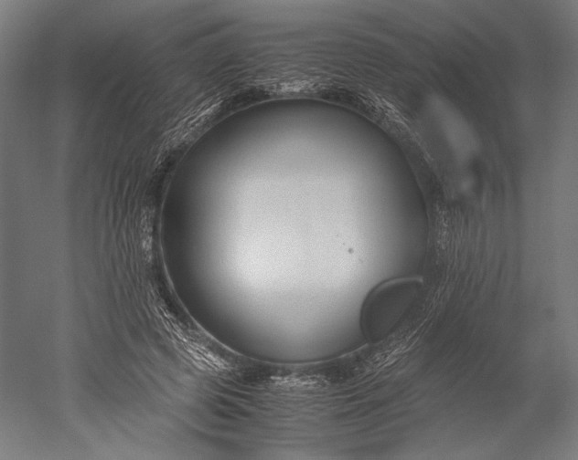 X0000051240545200507011629