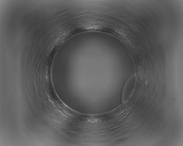 X0000051240547200507011629