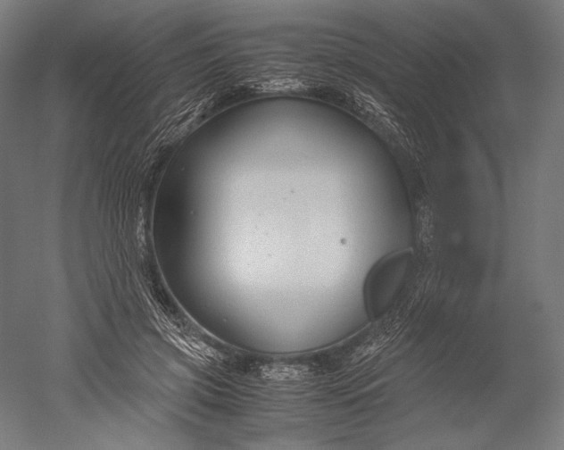 X0000051240549200507011629