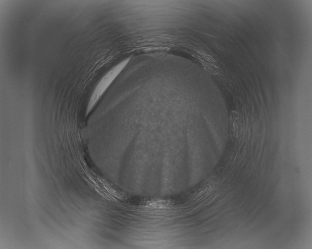 X0000051240550200507011629