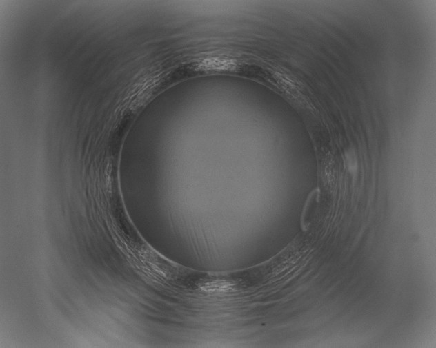 X0000051240551200507011629