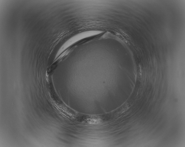 X0000051240552200507011629