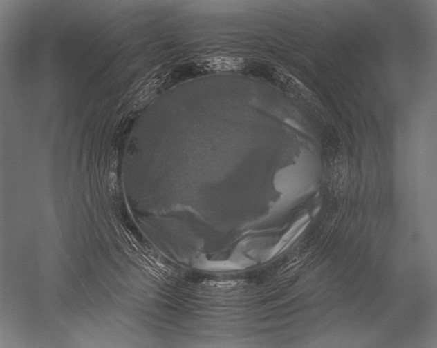 X0000051240553200507011629