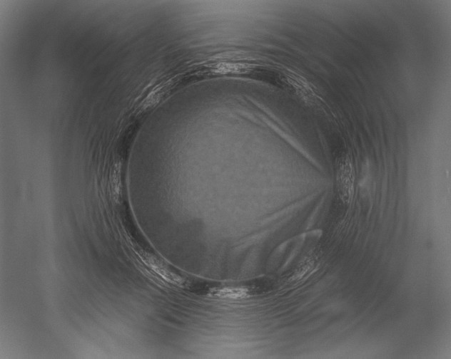 X0000051240554200507011629