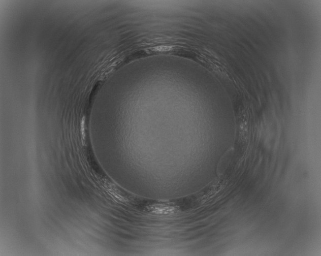 X0000051240555200507011629