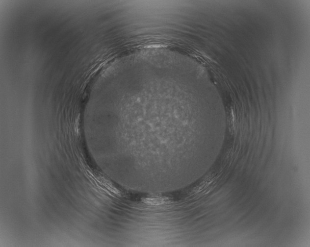 X0000051240556200507011629