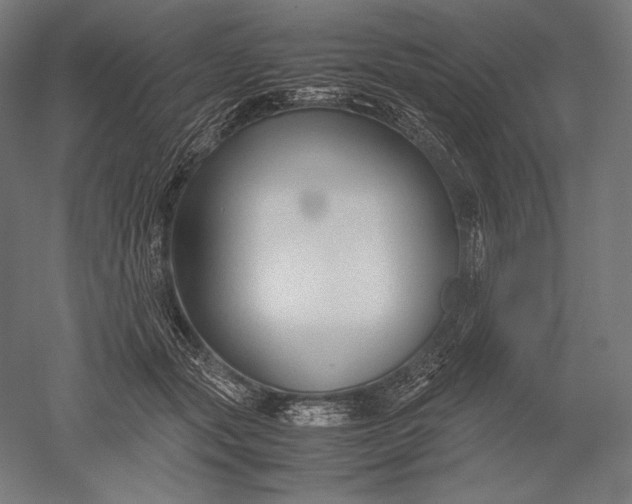 X0000051240557200507011629