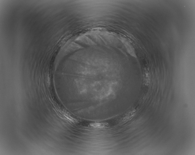 X0000051240558200507011629