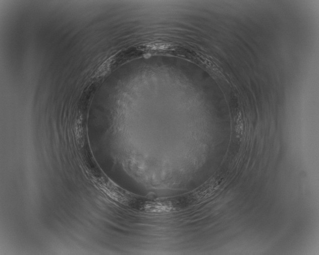 X0000051240559200507011629