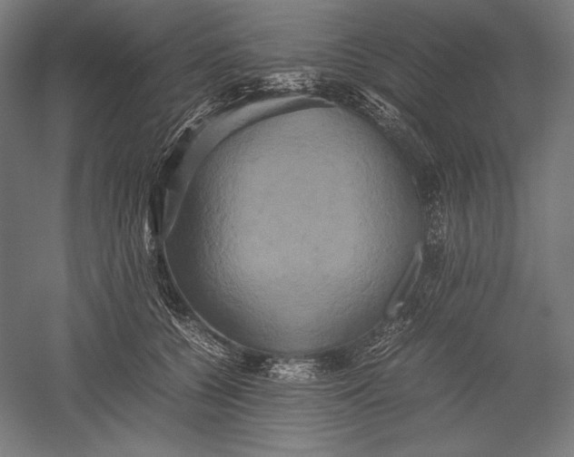 X0000051240560200507011629