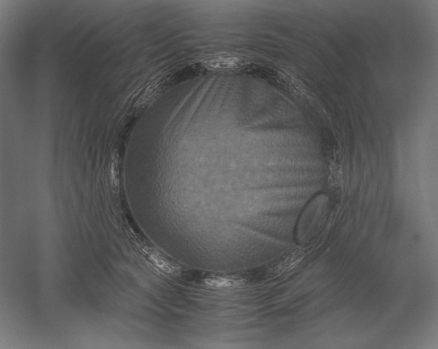 X0000051240561200507011629