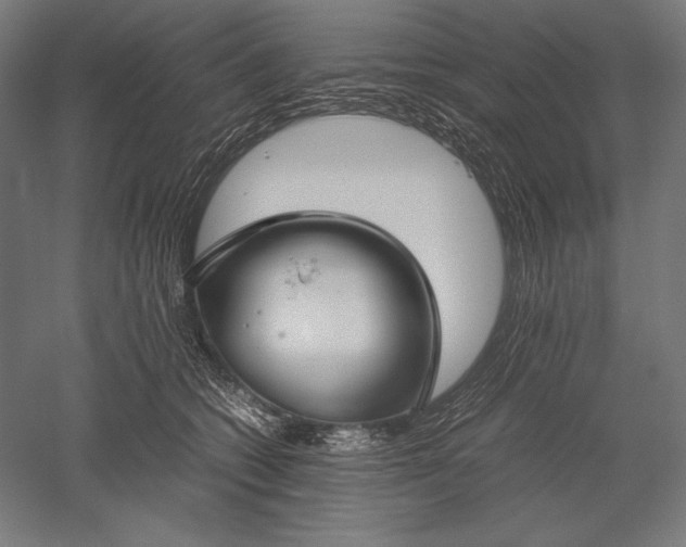 X0000051240562200507011629