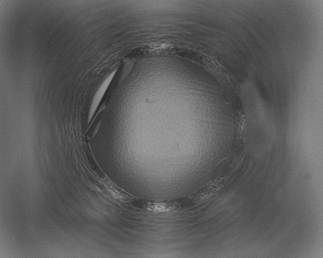 X0000051240565200507011629