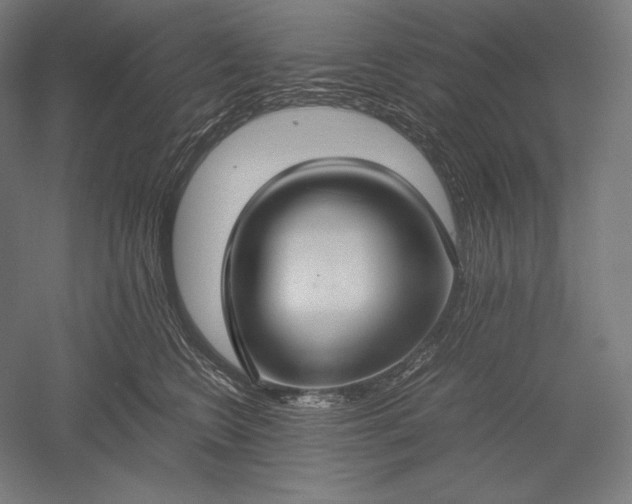 X0000051240566200507011629