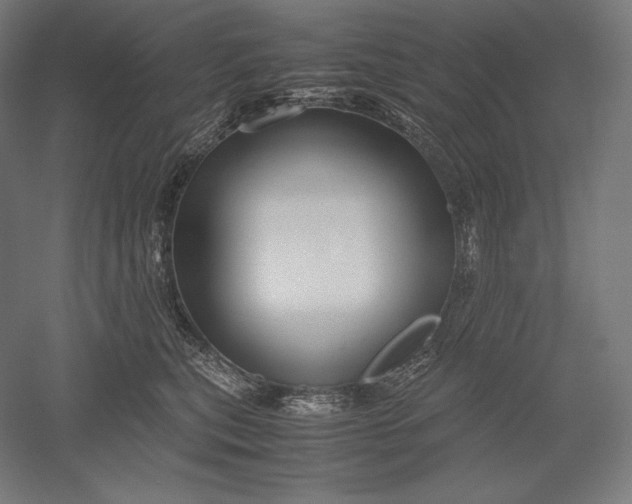 X0000051240567200507011629