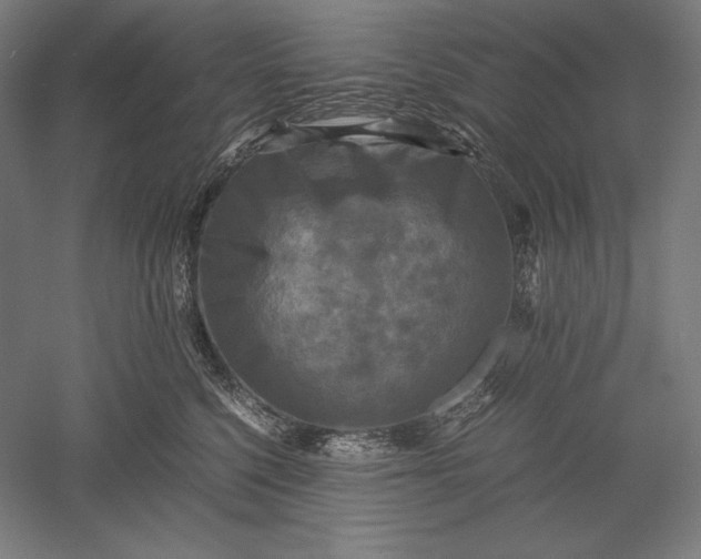 X0000051240568200507011629