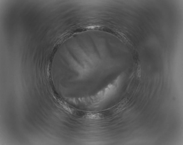 X0000051240569200507011629