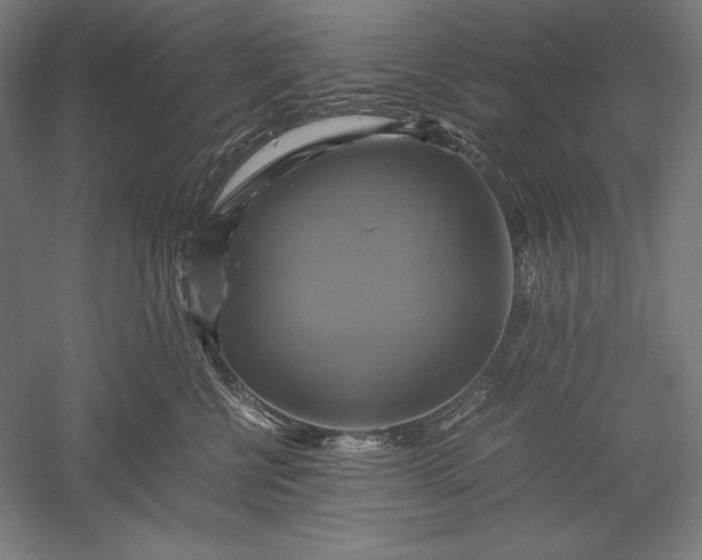 X0000051240570200507011629