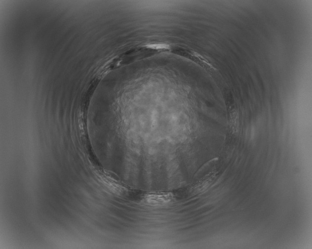 X0000051240571200507011629