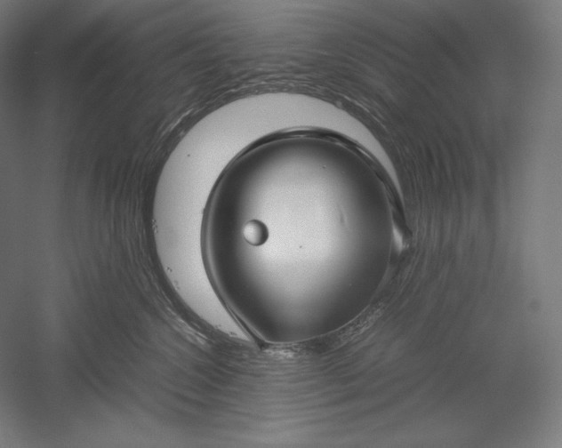 X0000051240572200507011629