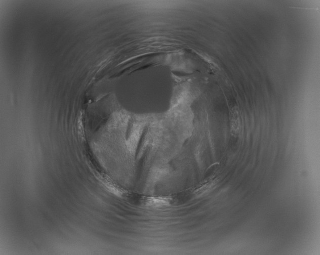 X0000051240573200507011629