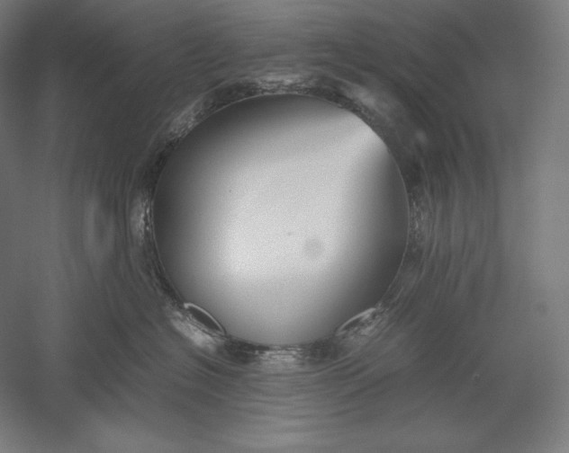 X0000051240574200507011629