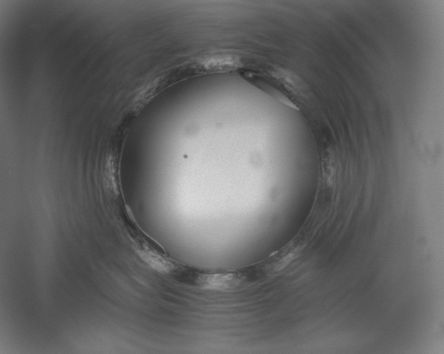 X0000051240575200507011629