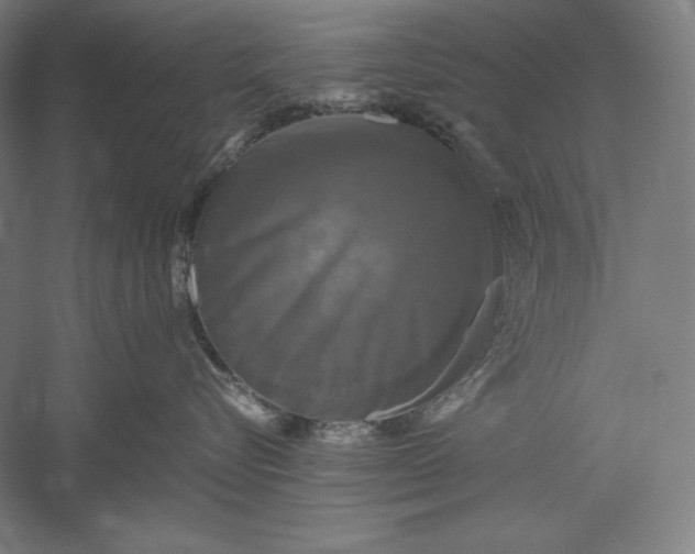 X0000051240576200507011629