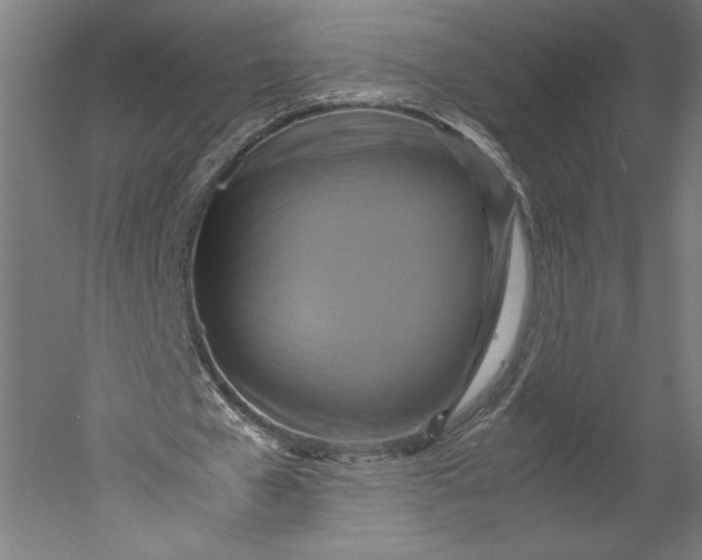 X0000051240577200507011628