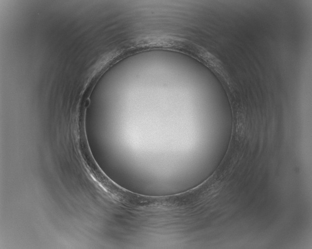 X0000051240578200507011628