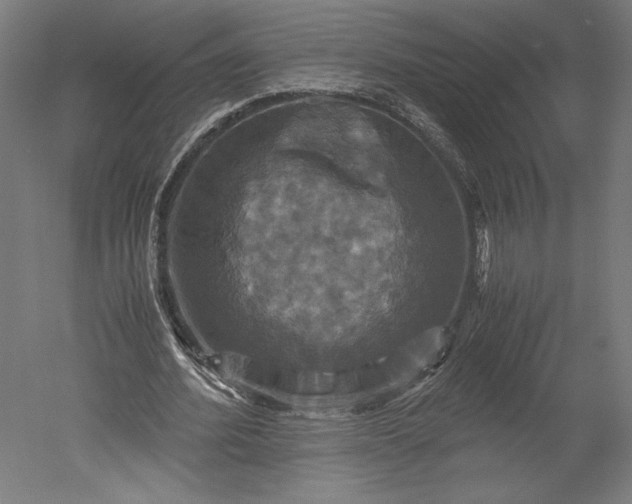 X0000051240580200507011628