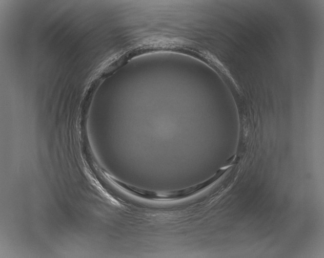 X0000051240581200507011628