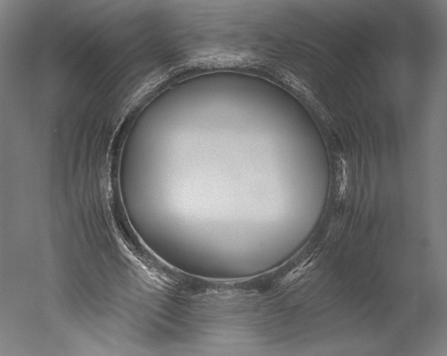 X0000051240582200507011628