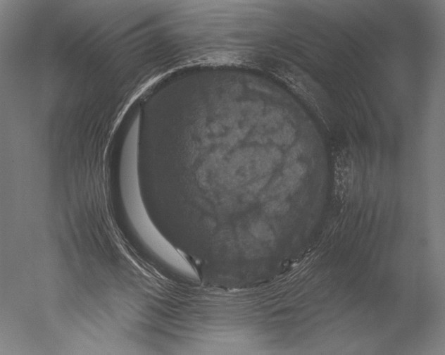 X0000051240584200507011628