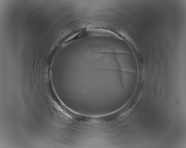 X0000051240585200507011628