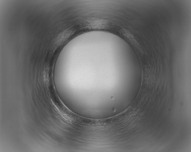 X0000051240586200507011628