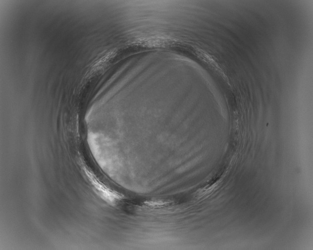 X0000051240589200507011628