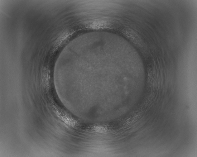 X0000051240592200507011628