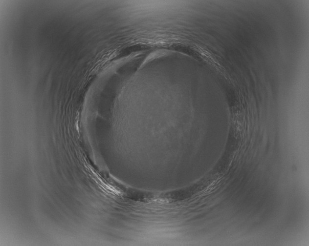 X0000051240593200507011628