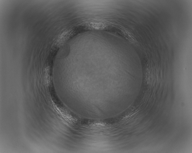 X0000051240594200507011628