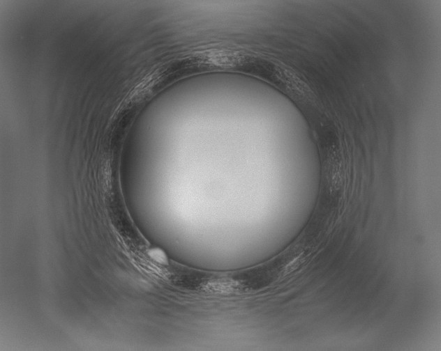 X0000051240595200507011628