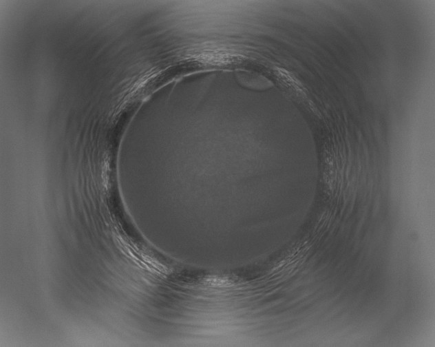 X0000051240596200507011628