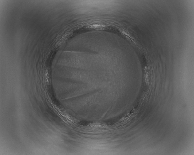 X0000051240597200507011628