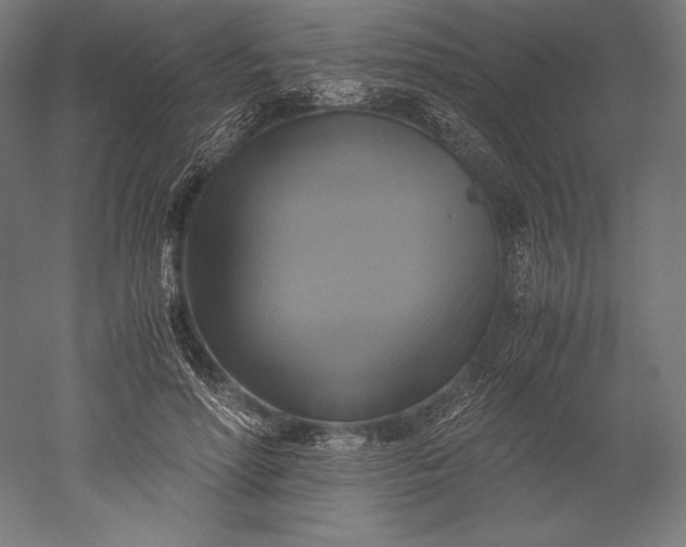 X0000051240598200507011628