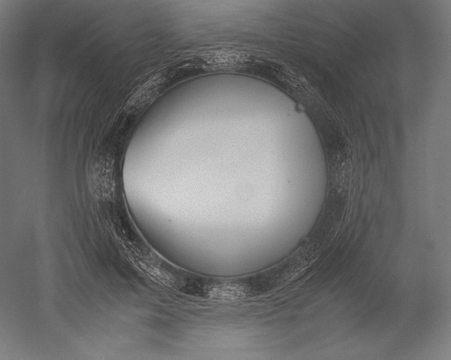 X0000051240599200507011628