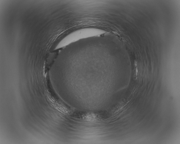 X0000051240600200507011628