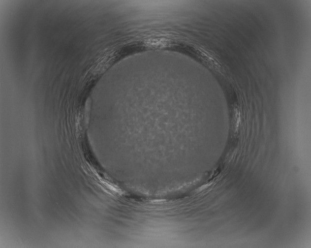 X0000051240601200507011628