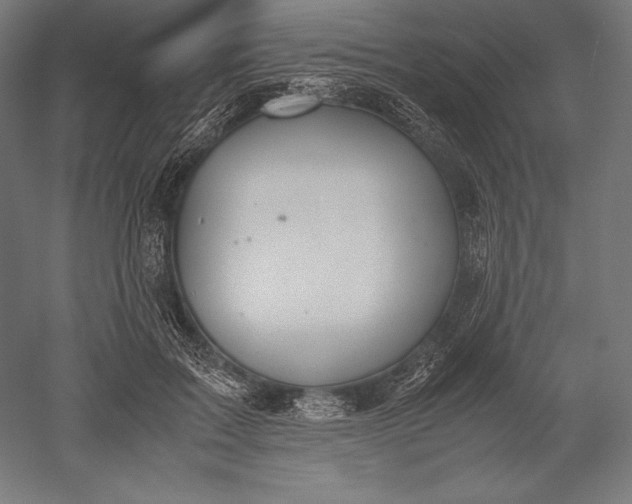 X0000051240603200507011628